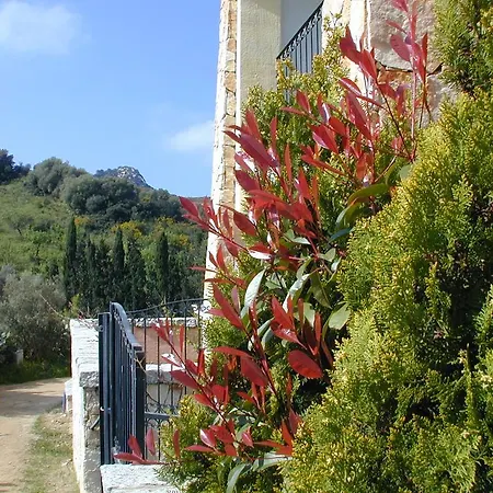 Lejlighed Markus By La Via Del Mare Viaggi E Vacanze